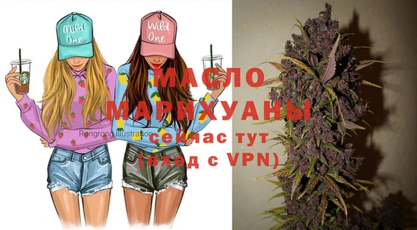 дмт Няндома