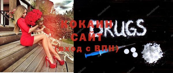 дмт Няндома